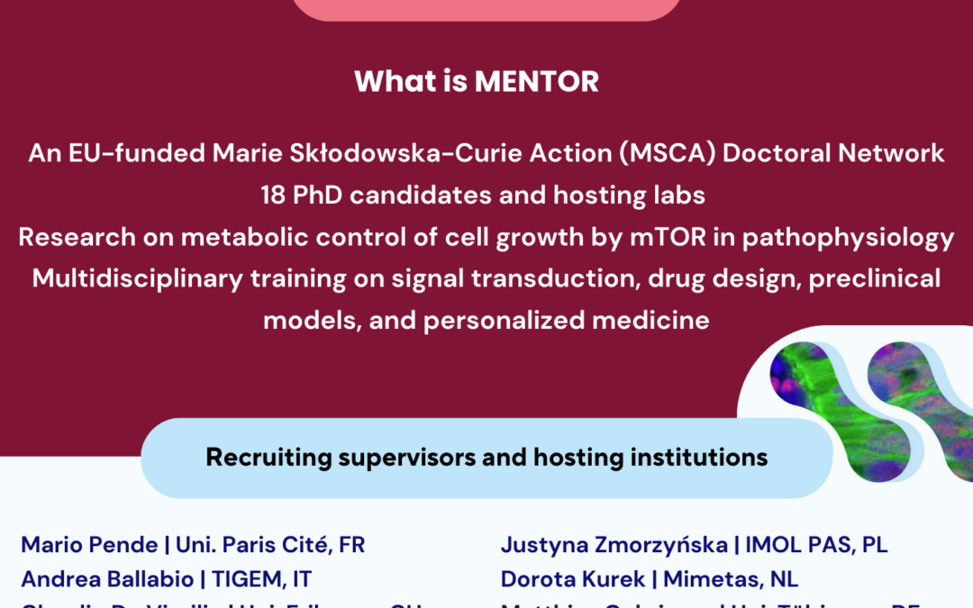 MSCA DN MENTOR – 18 PhD Positions across 9 European Countries: multidisciplinary studies on mTOR signaling