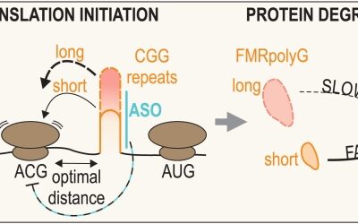 A new paper of Prof. Sobczak’s group in Nucleic Acids Research